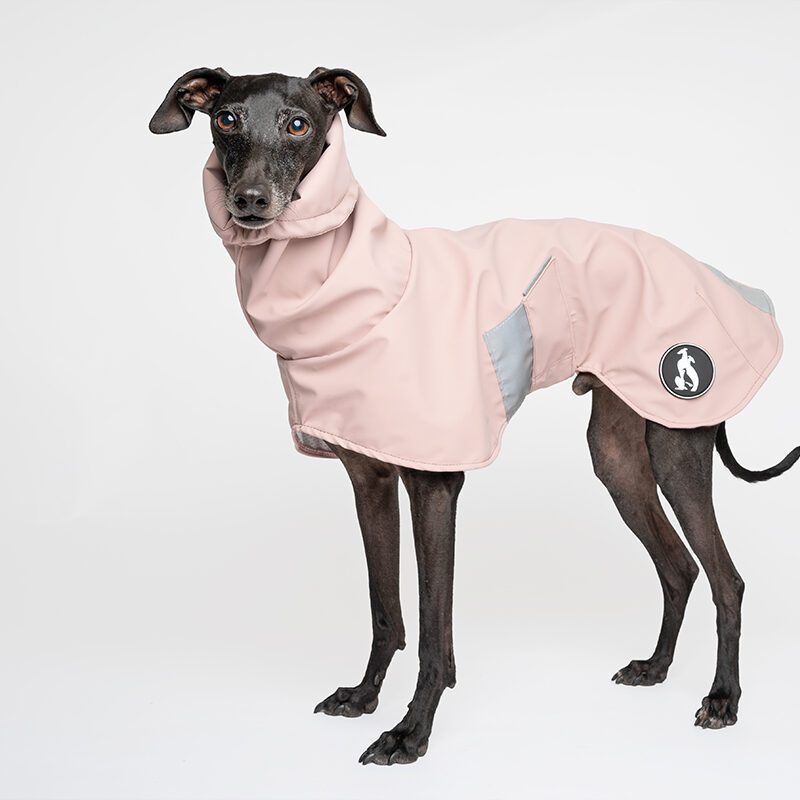 WINDSTORM STARFIRE DUST