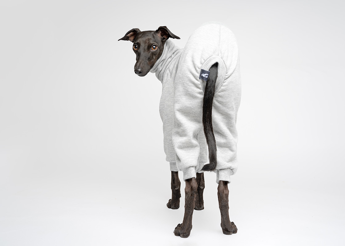 JOGGER LIGHT RABBIT - Image 3