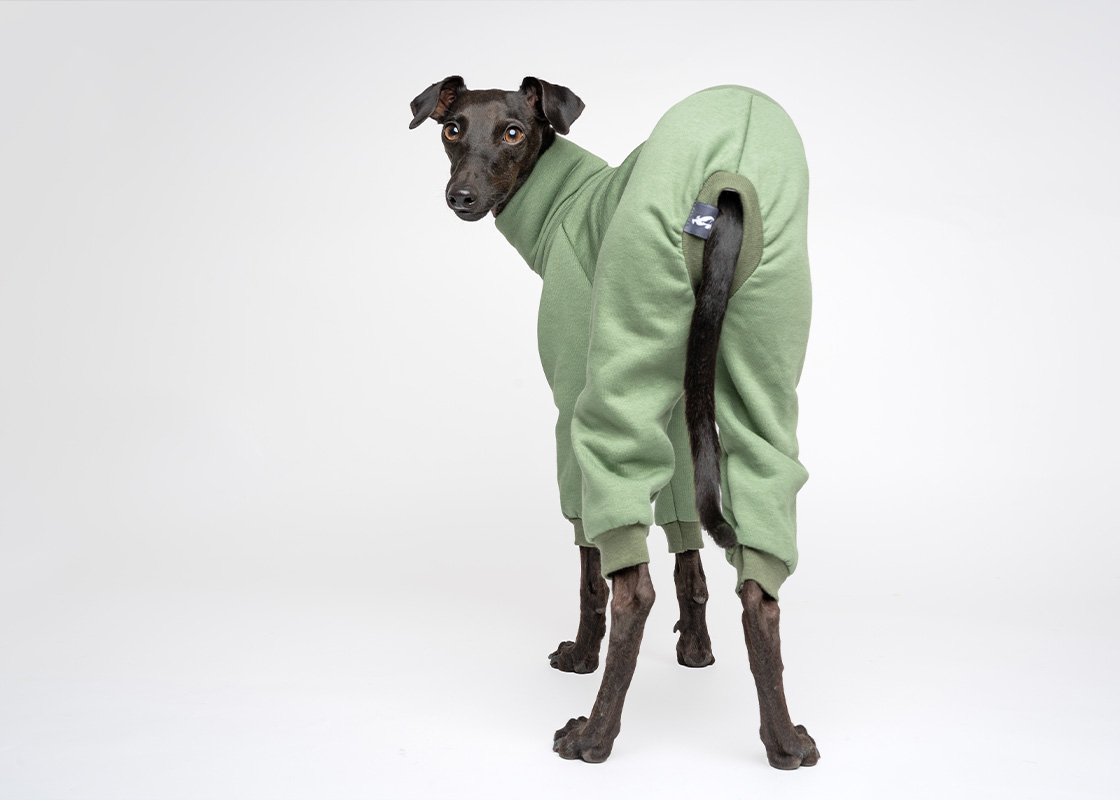 JOGGER SAGE - Image 5