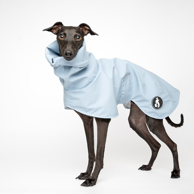 WINDSTORM WISPERWIND